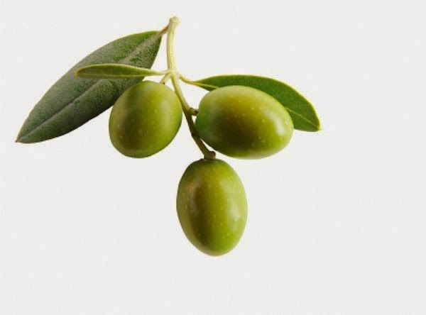 propiedades del aceite de oliva